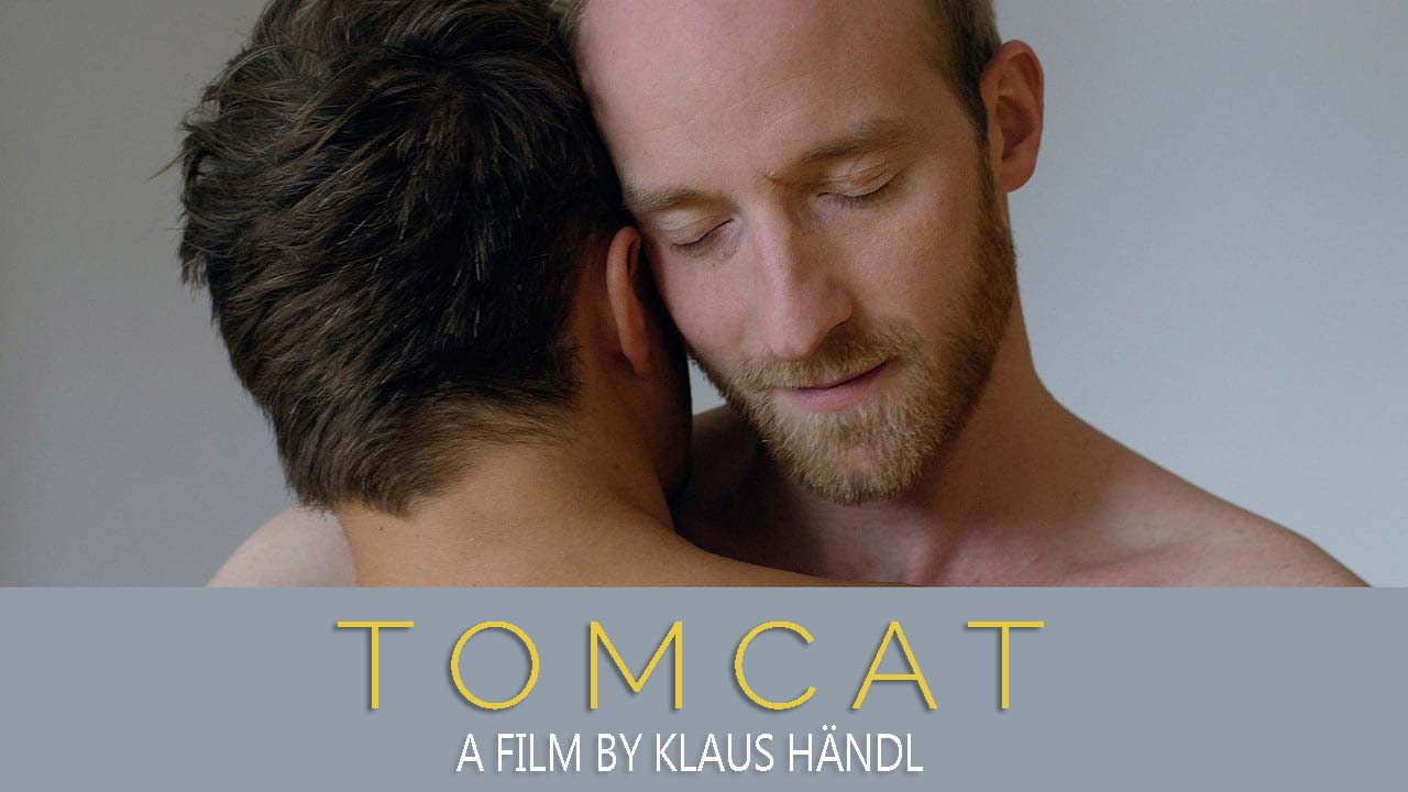 Tomcat (2016)